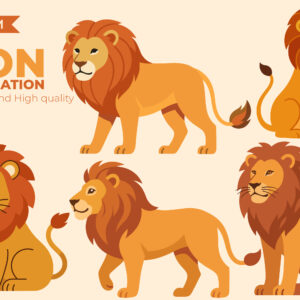 Lion Illustration Pack