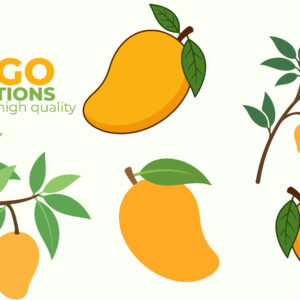 Mango Illustration Pack