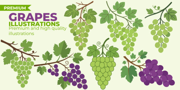 Grapes Illustration Pack